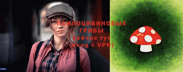 эйфоретик Алзамай