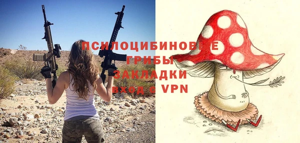 эйфоретик Алзамай